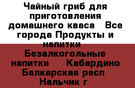 Чайный гриб для приготовления домашнего кваса - Все города Продукты и напитки » Безалкогольные напитки   . Кабардино-Балкарская респ.,Нальчик г.